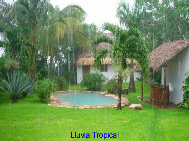 lluviatropicalsinttulo1.jpg